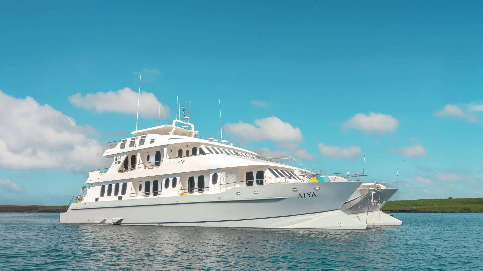 Alya cruise